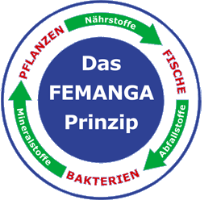 FEMANGA Prinzip